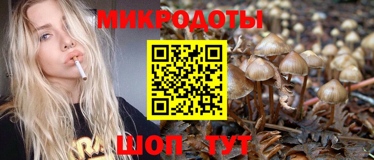 Галлюциногенные грибы Magic Shrooms  Псилоцибиновые грибы Psilocybine cubensis  Россошь  Вход с VPN 