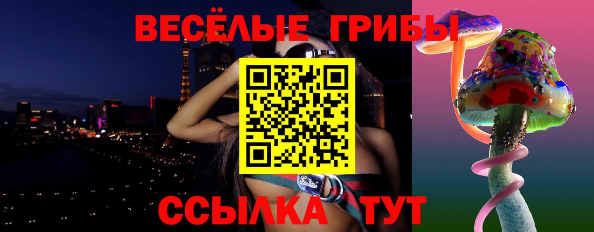 Галлюциногенные грибы Cubensis Россошь
